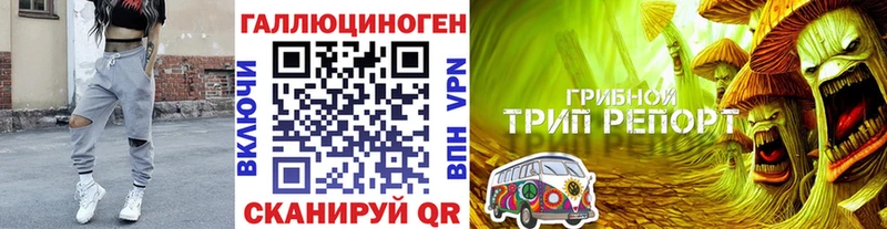 Галлюциногенные грибы Psilocybine cubensis  Грязи 